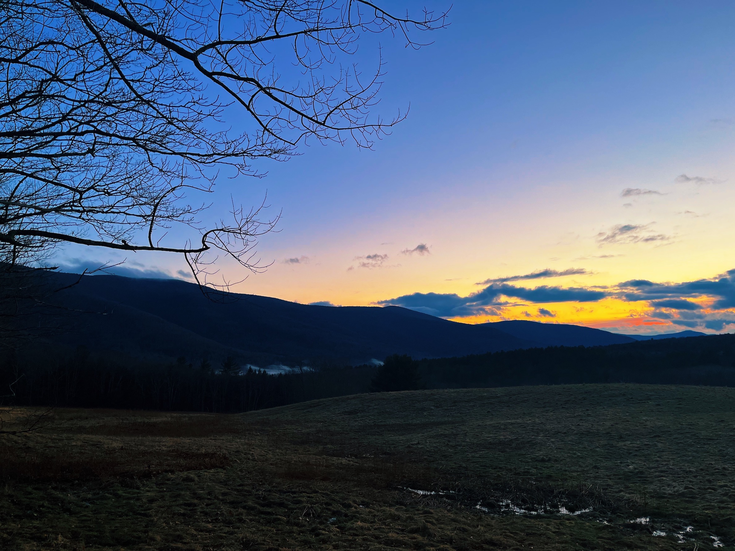 Hunter New York Sunset