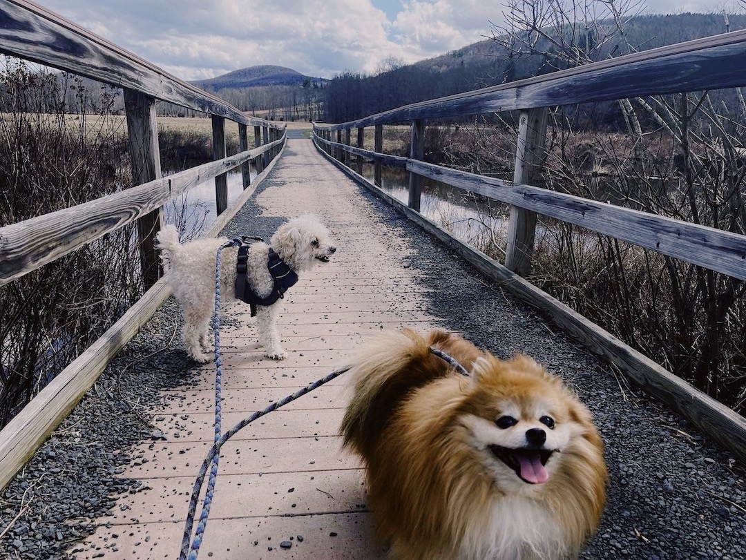 Cali and Peyton Hunter New York