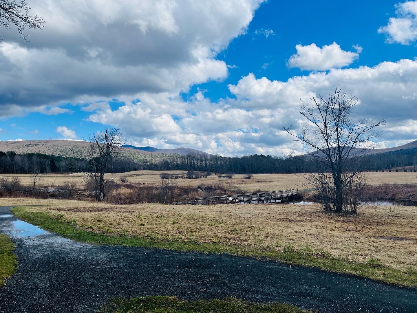 Windham Path in Windham New York